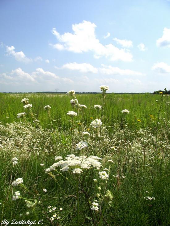Фасова з panoramio.com - Фасова
