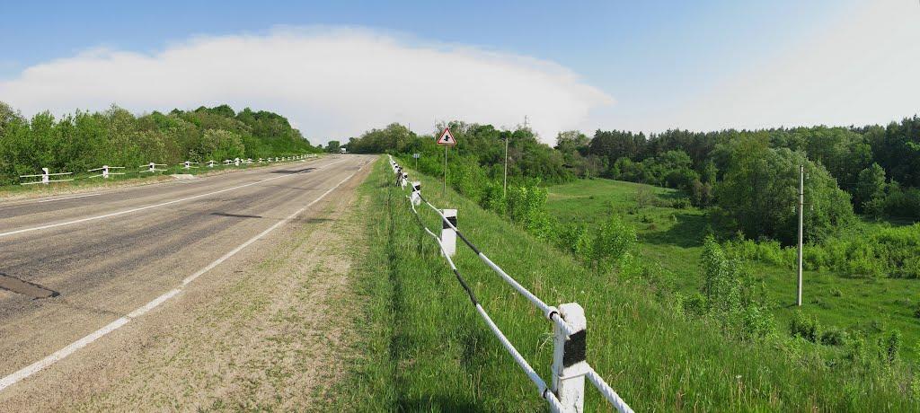 Нижчі Верещаки з panoramio.com - Низшие Верещаки