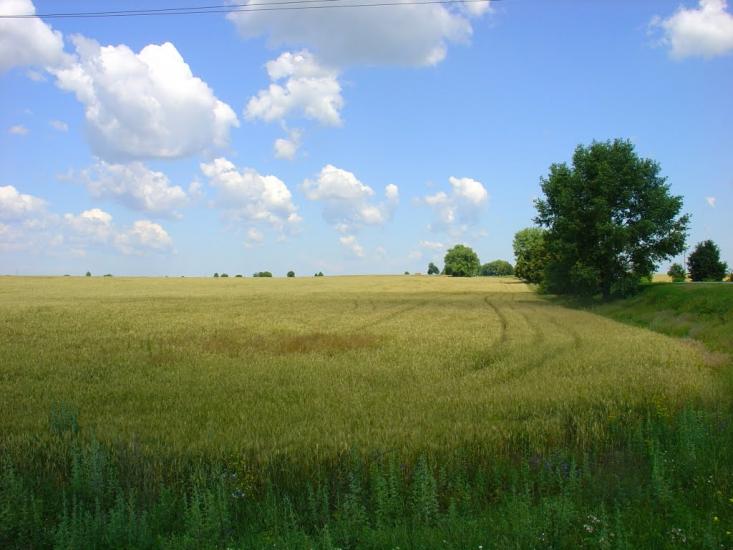 Скородистик з panoramio.com - Скородистик