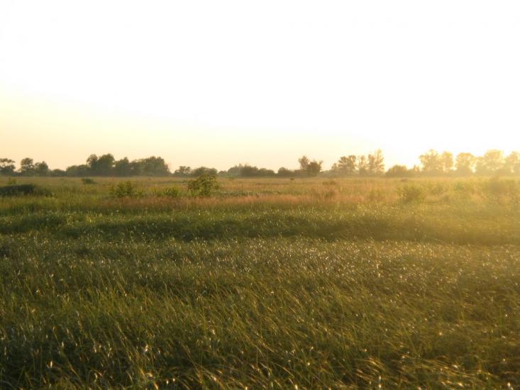 Кийлів з panoramio.com - Кийлов