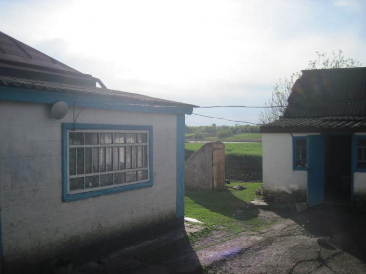 Плетений Ташлик з panoramio.com - Плетеный Ташлык