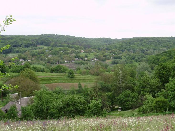 Сунки з panoramio.com - Сунки