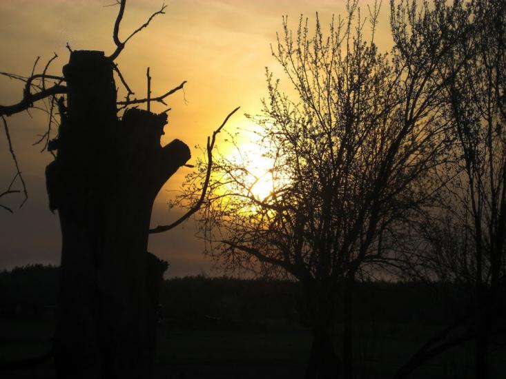 Гайове з panoramio.com - Гайове