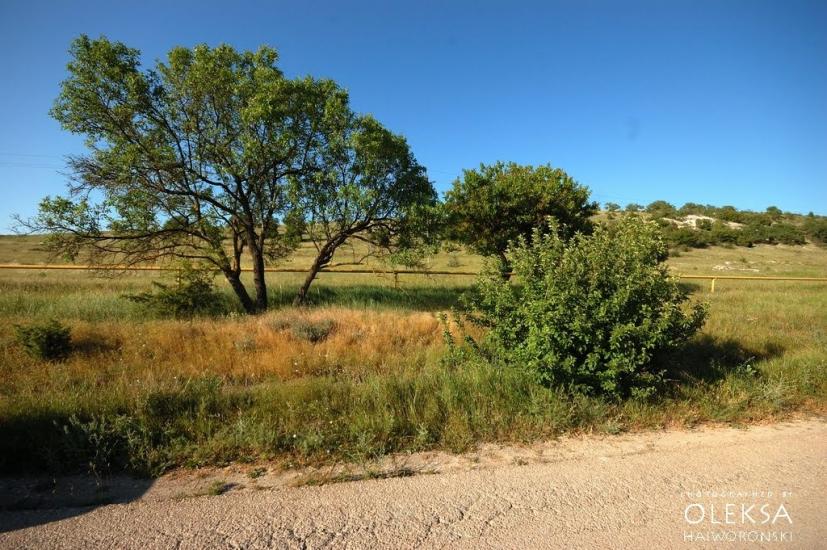 Інкерман з panoramio.com - Inkerman
