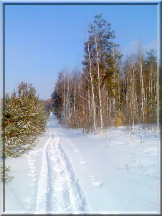 Кушкине з panoramio.com - Кушкине