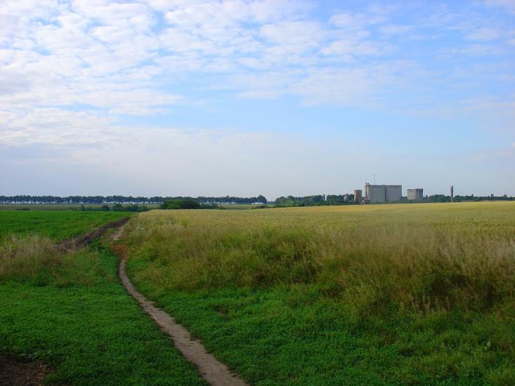 Скородистик з panoramio.com - Скородистик