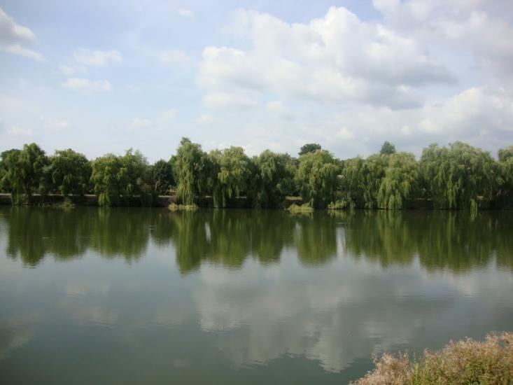 Серебринці з panoramio.com - Серебринці