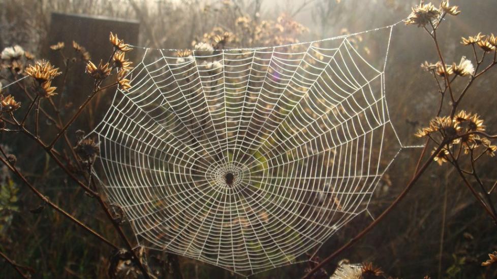 Волноваха з panoramio.com - Волноваха