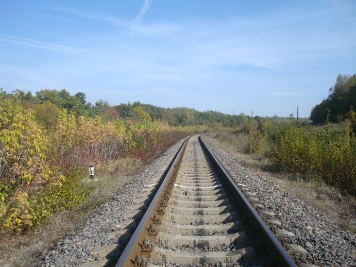 Кутківці з panoramio.com - Кутковцы