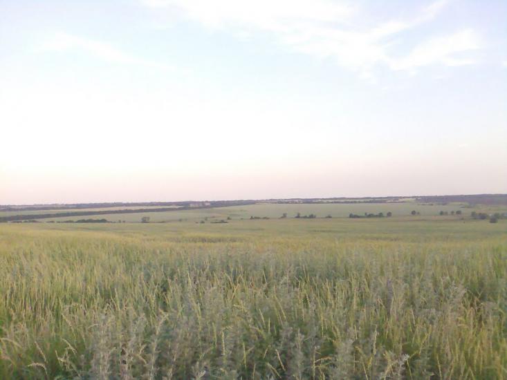 Новоохтирка з panoramio.com - Новоохтирка
