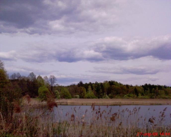 Кушкине з panoramio.com - Кушкино