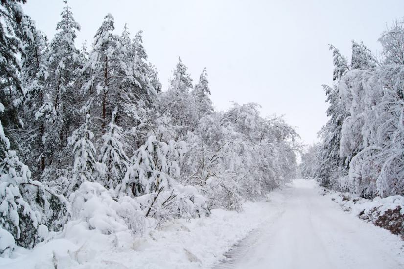 Любимівка з panoramio.com - Любимовка