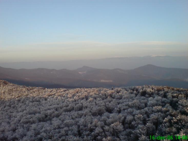 Гута з panoramio.com - Guta