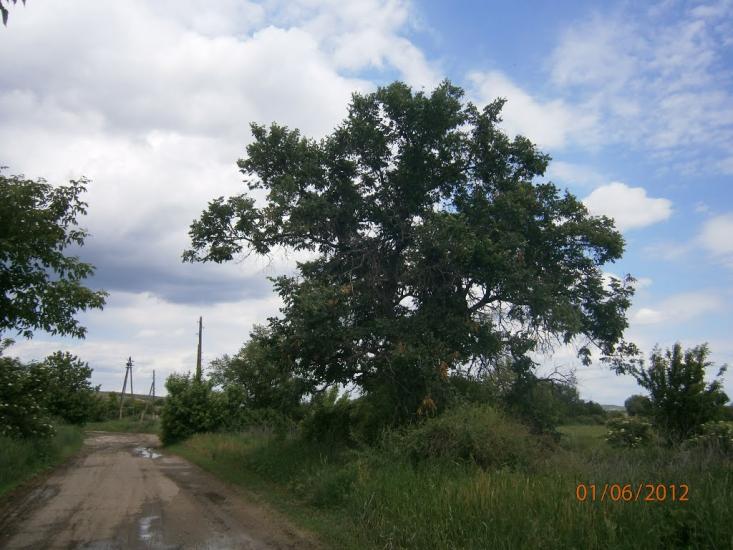 Колядівка з panoramio.com - Колядовка