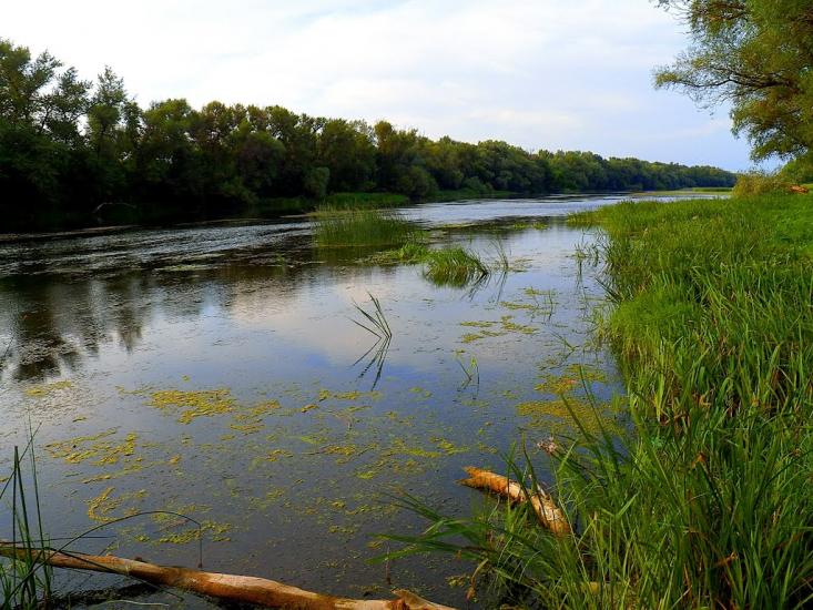 Жовте з panoramio.com - Желтое