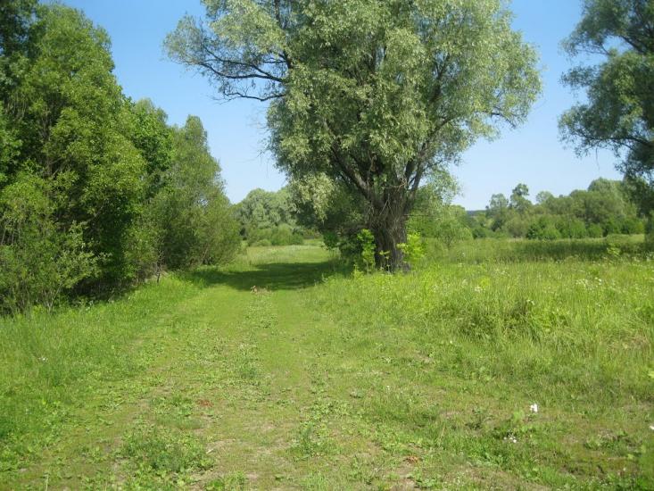 Дем'янівка з panoramio.com - Дем'янівка