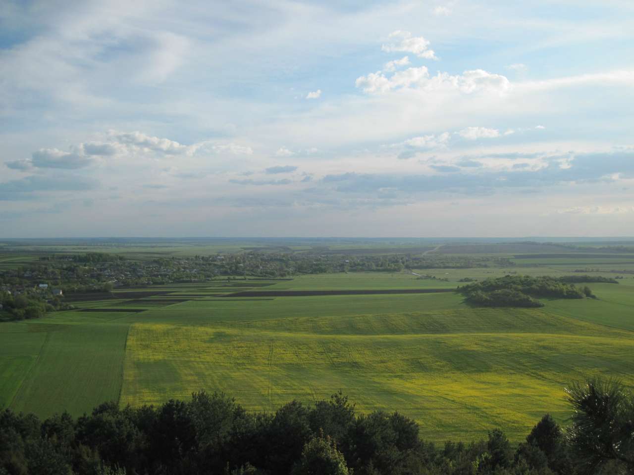Медобори - Вікно