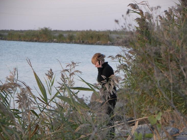 Лиман з panoramio.com - Лиман