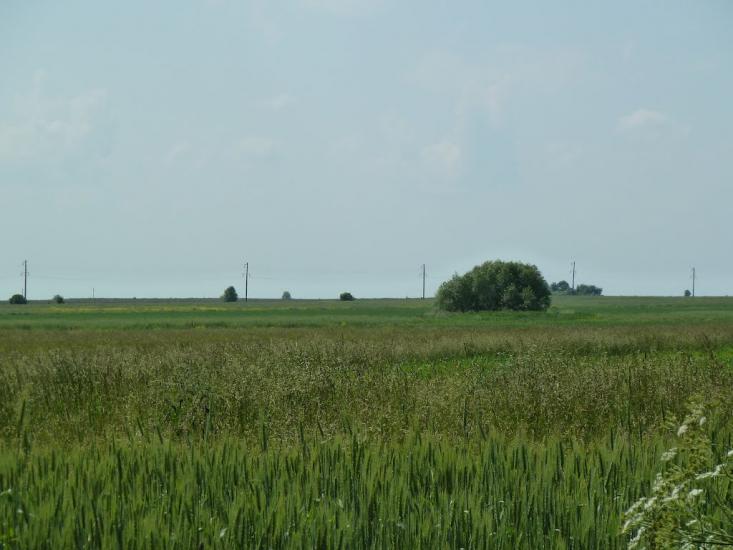 Кураж з panoramio.com - Кураж