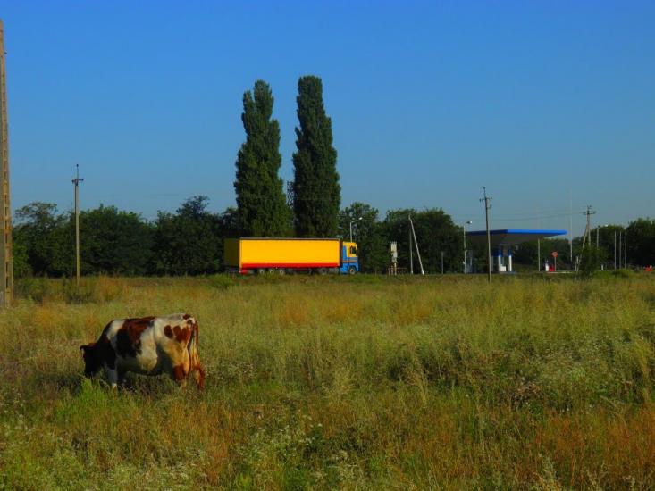Мар'янське з panoramio.com - Марьянское
