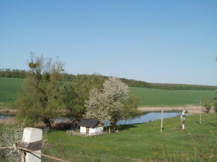 Бубнівка з panoramio.com - Бубновка