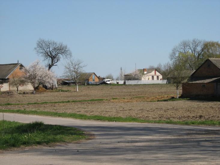 П'ятидні з panoramio.com - П'ятидні