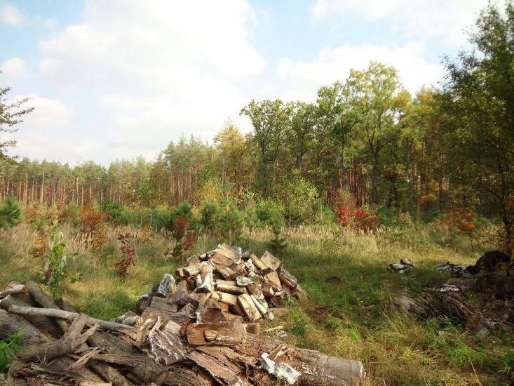 Катюжанка з panoramio.com - Катюжанка