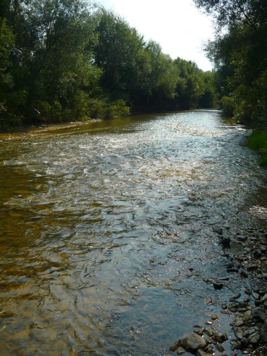 Нижня Апша з panoramio.com - Нижняя Апша