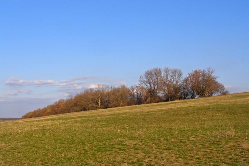 Красне Поле з panoramio.com - Красне Поле