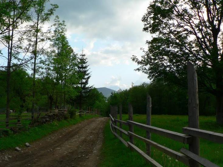 Шепіт з panoramio.com - Шепіт