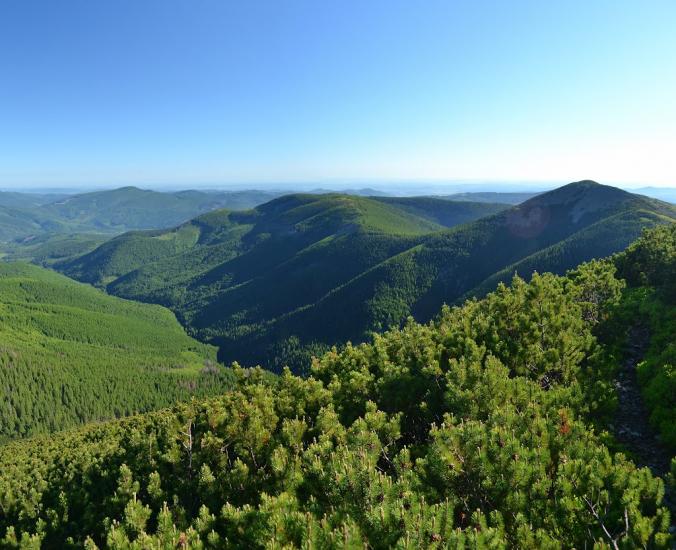 Кузьминець з panoramio.com - Кузьминець