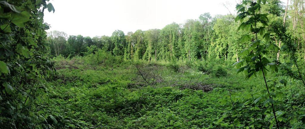 Бахматівці з panoramio.com - Bakhmativtsi