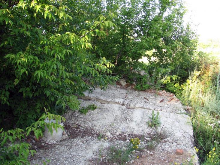 Хорошеве з panoramio.com - Хорошево