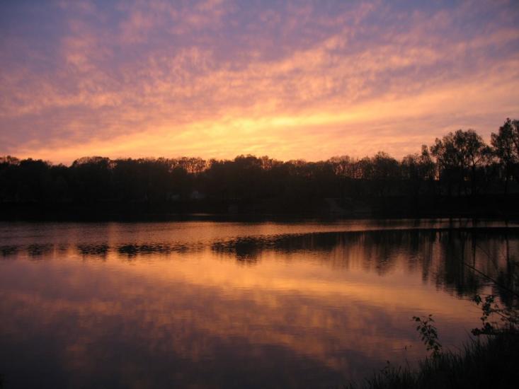 Сад з panoramio.com - Сад