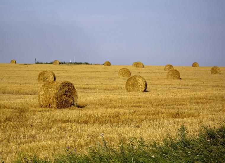 Мангуш з panoramio.com - Мангуш