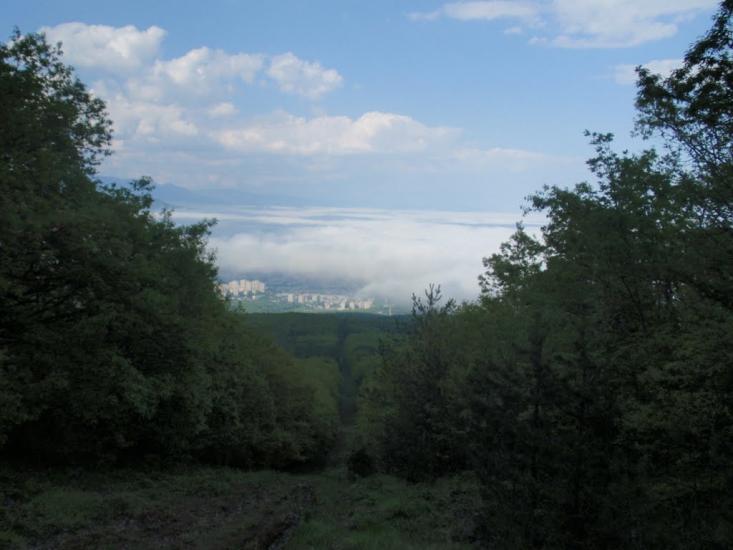 Виноградний з panoramio.com - Виноградний