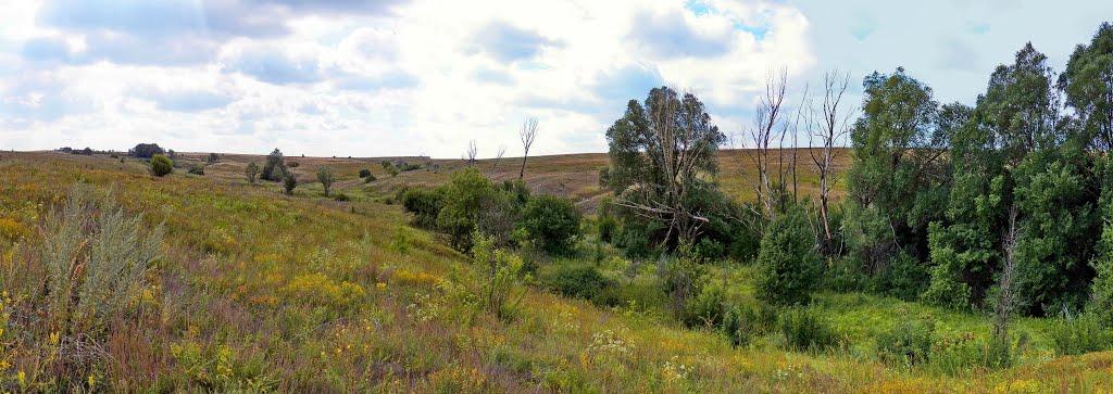 Нікішине з panoramio.com - Nikishyne