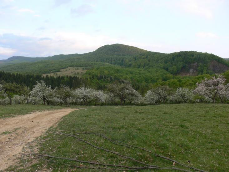 Бедевля з panoramio.com - Бедевля