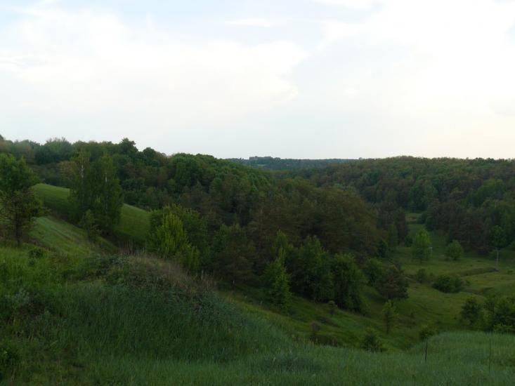 Великі Дмитровичі з panoramio.com - Velyki Dmytrovychi