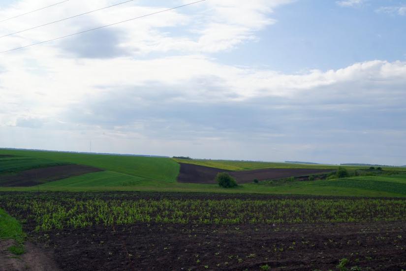 Травневе з panoramio.com - Травневе