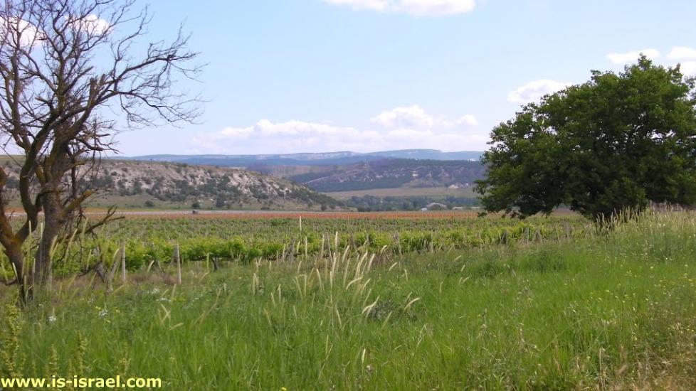 Інкерман з panoramio.com - Inkerman