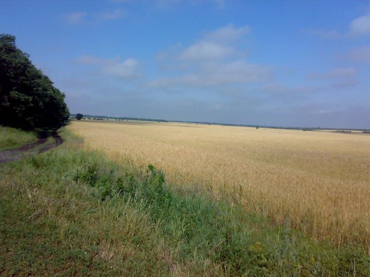 Новогродівка з panoramio.com - Новогродовка