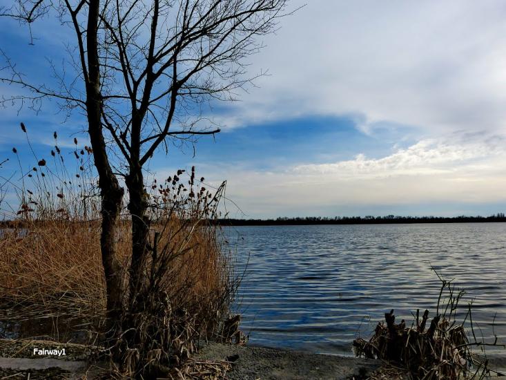 Антонівка з panoramio.com - Antonivka