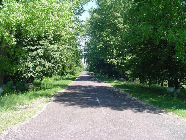 Петрашівка з panoramio.com - Петрашівка