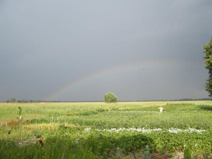 Гайове з panoramio.com - Гайове