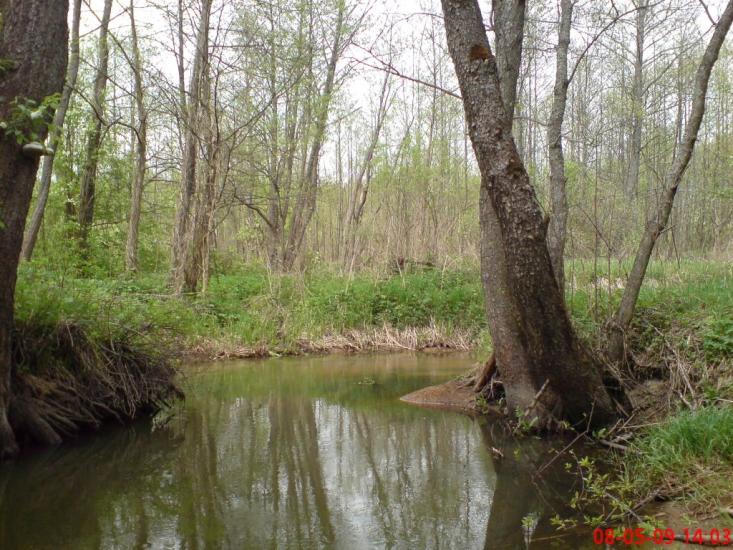 Кушкине з panoramio.com - Кушкино