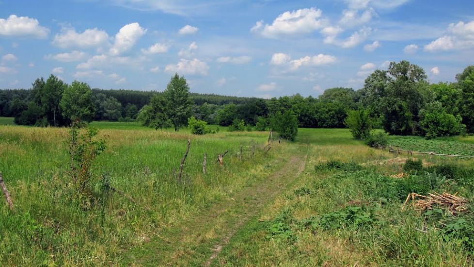 Бірки з panoramio.com - Birky