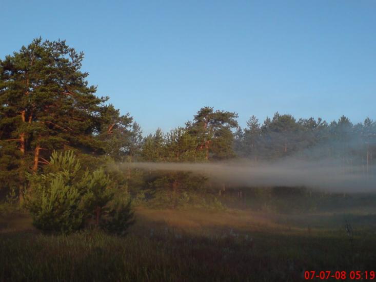 Кушкине з panoramio.com - Кушкино