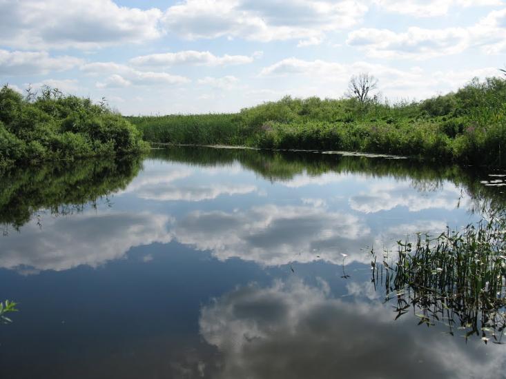 Лохвиця з panoramio.com - Lokhvitsa