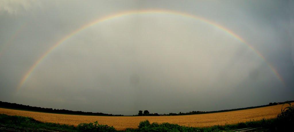 Дубіївка з panoramio.com - Дубиевка